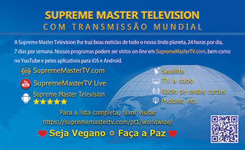 Supreme Master Television - SupremeMasterTV.com